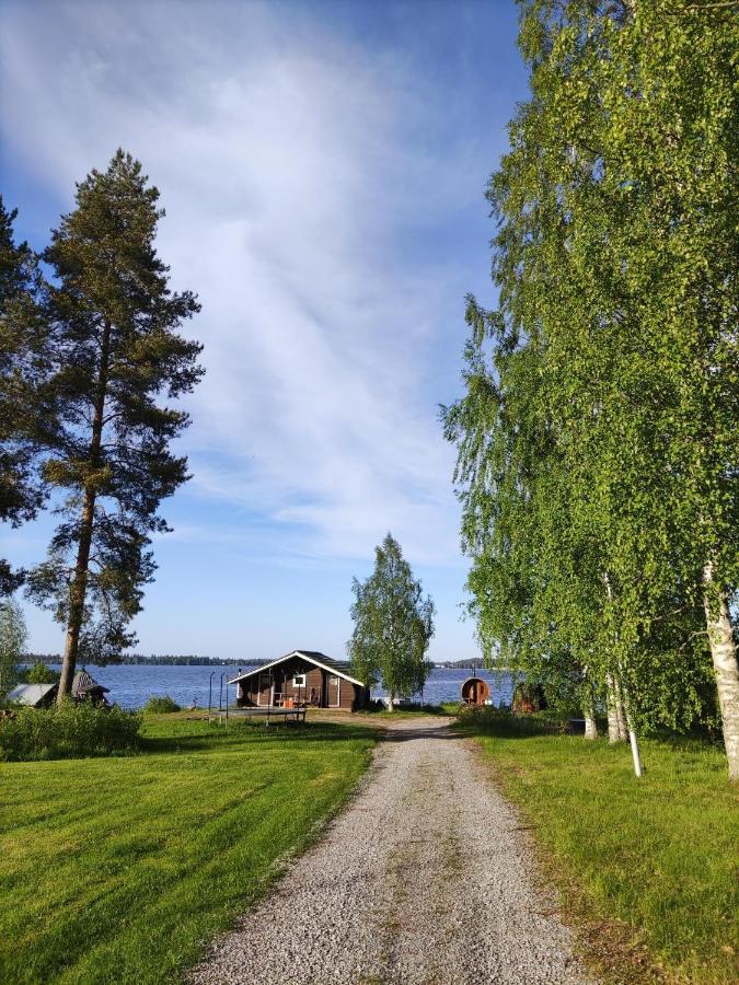 Loma Luonnonlapsi Bed & Breakfast Sotkamo Exterior photo